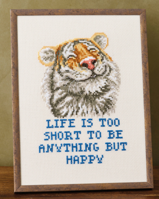 Kit da Ricamo Anything R5799 18 x 24 cm