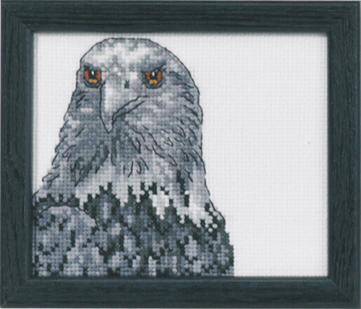 Kit Ricamo Aquila R5497 9 x 11 cm