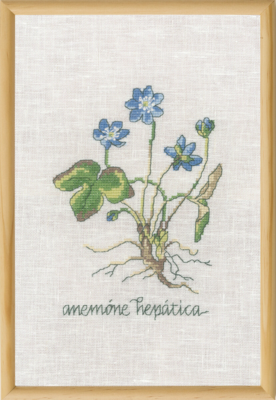 Kit per ricamo Anemone Blu R5799 20 x 30 cm