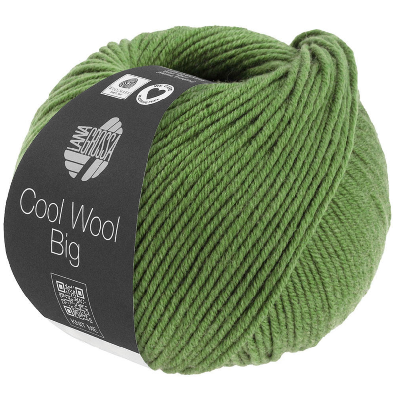 Cool Wool Big 1634 Verde melange