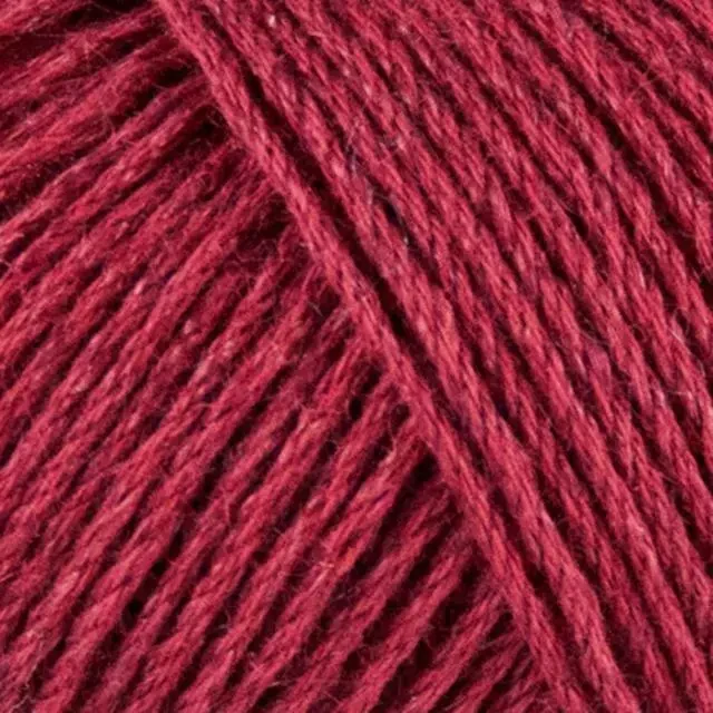 Onion Organic Cotton+Nettles+Wool 1318 Vino rosso
