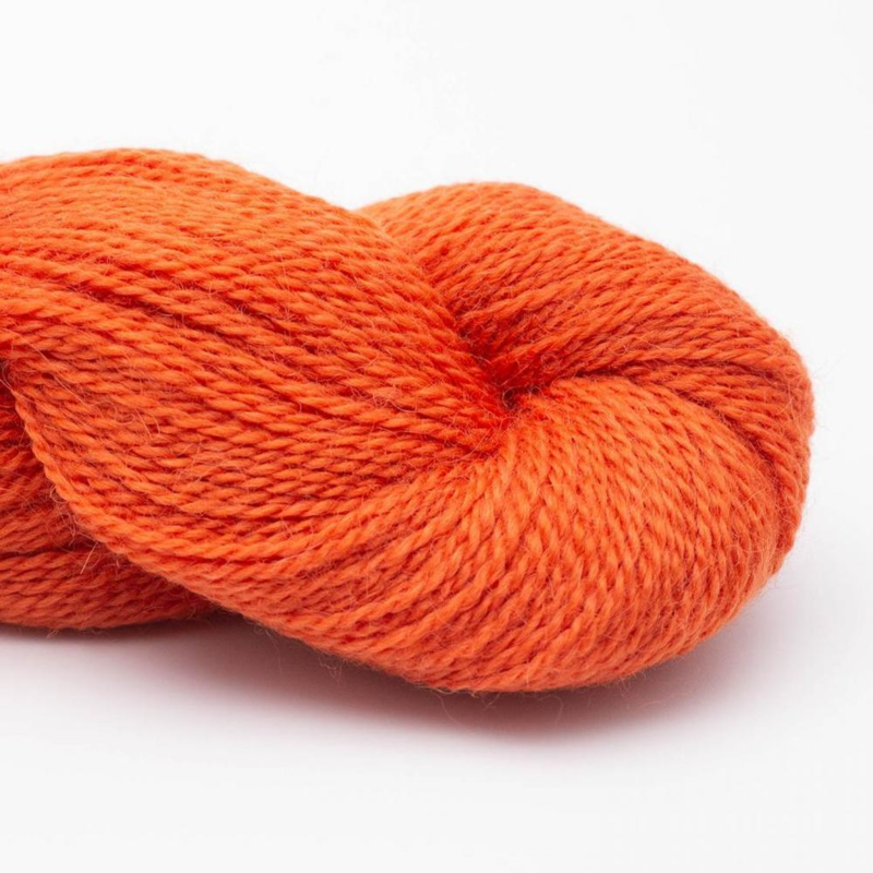 BC Garn Babyalpaca 10/2 RAS 57 Arancione Intenso RAS