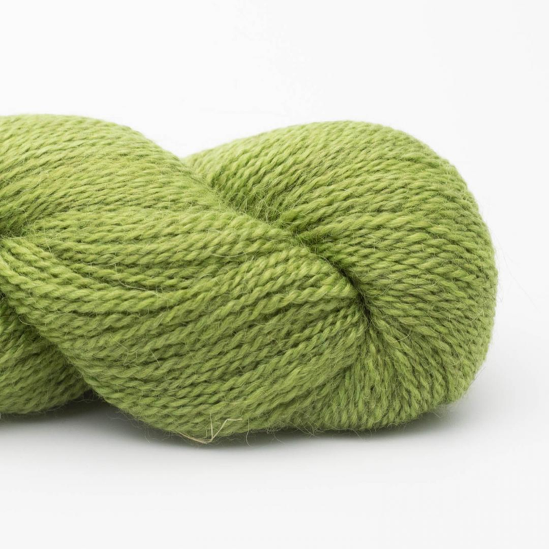 BC Garn Babyalpaca 10/2 RAS 45 Verde maggio RAS