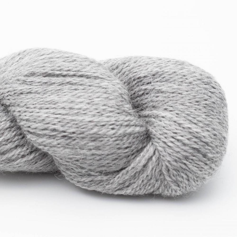 BC Garn Babyalpaca 10/2 RAS 131 Grigio Acciaio RAS