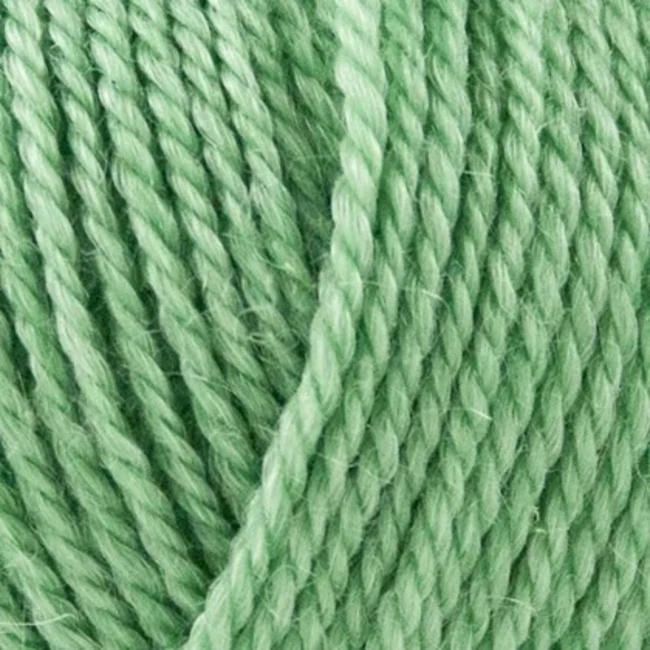 Onion No.4 Organic Wool+Nettles 825 Verde chiaro