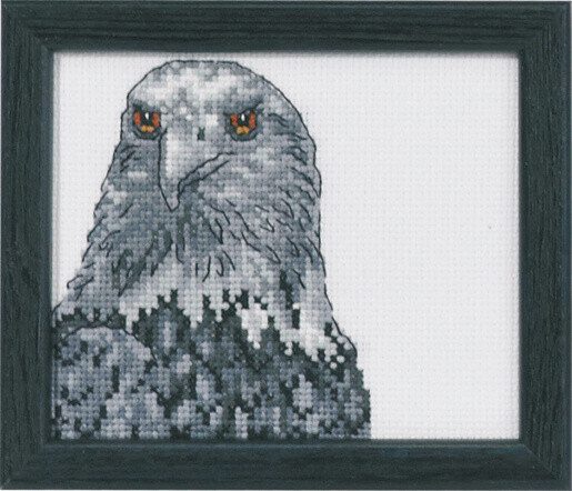 Kit Ricamo Aquila R5497 9 x 11 cm