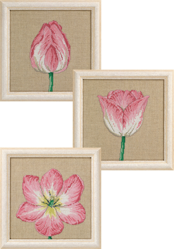 Kit da Ricamo Tulipani in Fasi 3 x 25 x 25 cm