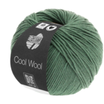 Lana Grossa Cool Wool 2021 Verde grigio scuro