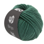 Lana Grossa Bingo 189 Verde scuro