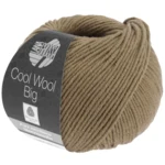 Cool Wool Big 1011 Marrone grigio