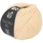 Cool Wool Big 1016 Conchiglia