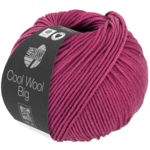 Cool Wool Big 1027 Rosso indiano