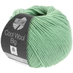 Cool Wool Big 998 Verde tiglio