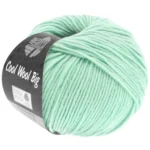 Cool Wool Big 978 Verde pastello