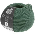 Cool Wool Big 1004 Verde muschio