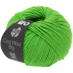 Cool Wool Big 941 Verde chiaro