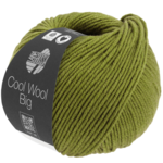 Cool Wool Big 1021 Verde maggio