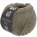 Cool Wool Big 1621 Marrone grigio melange