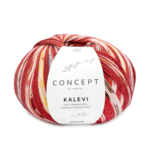 Katia Concept Kalevi Socks 204 Rosso-Marrone-Giallo-Rosso ruggine