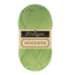 Scheepjes Woolwise 755 Ago di pino