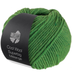 Lana Grossa Cool Wool Superbig 211 Verde melangiato