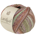 Lana Grossa Landlust die Sockenwolle Seide 332 Verde kaki/Beige/Viola/Rosa/Pesca/Verde chiaro a righe