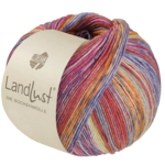Lana Grossa Landlust die Sockenwolle Seide 335 Arancione/Grigio/Giallo limone/Blu chiaro/Blu/Viola/Fucsia/Rosso chiaro a righe