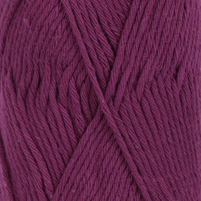 13 Rosa antico