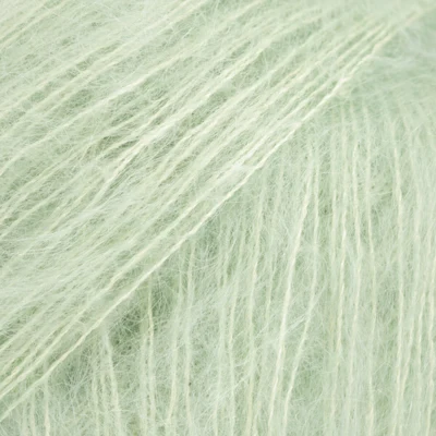 60 Menta piperita