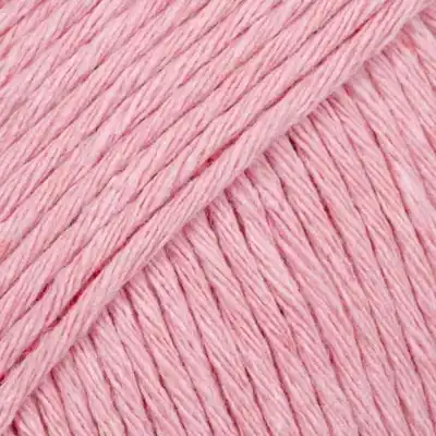 41 Rosa peonia (Uni Colour)