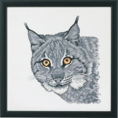 Lince in grigio R5615