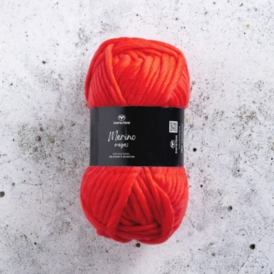 15 Bandiera rossa