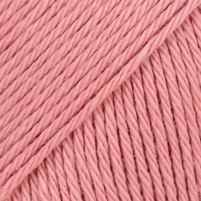 22 Rosa delicata (Uni Colour)