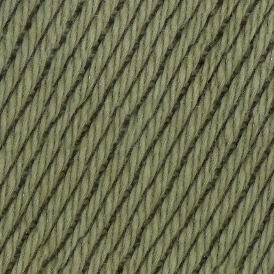 090 Oliva