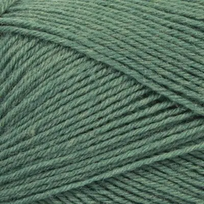 26 Verde lucertola