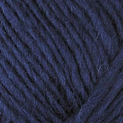 0118 Navy