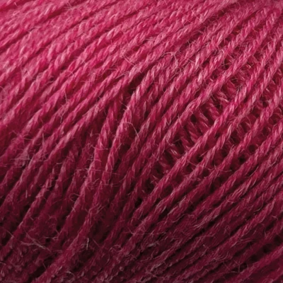 1013 Rosa