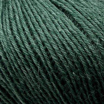 1006 Verde