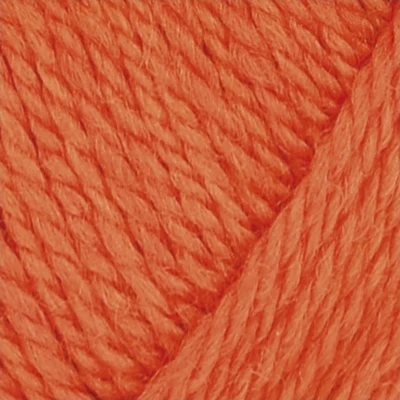 1207 Carota