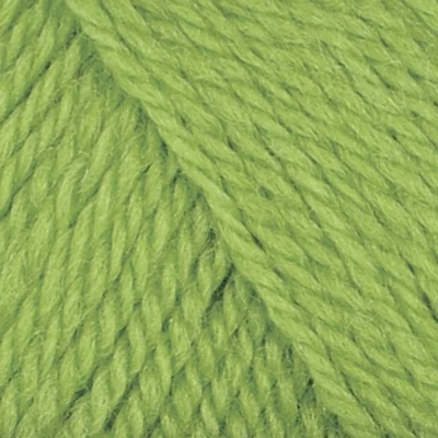 1209 Lampeggio verde