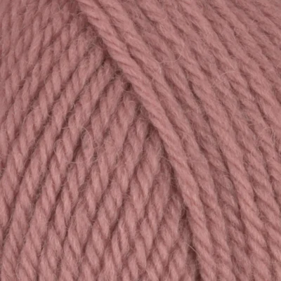 282 Rosa Vecchia