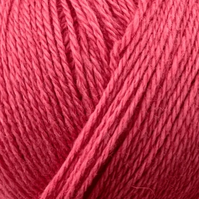 41 Rosa
