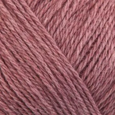 15 Vecchia rosa