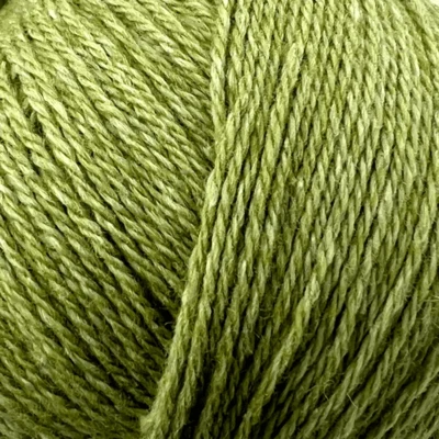 22 Lime