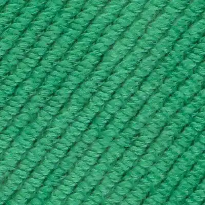 087 Amazzonia