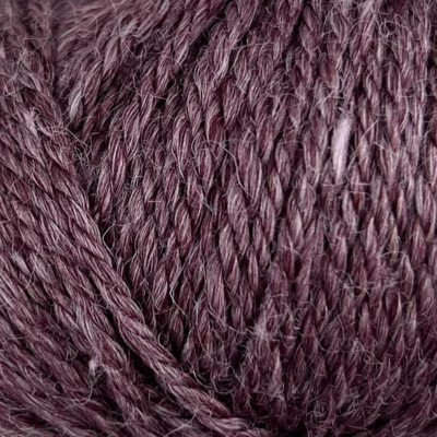 641 Bacca d’autunno