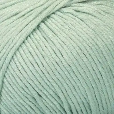 016 Menta piperita