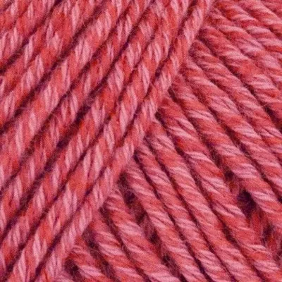 503 Rosa