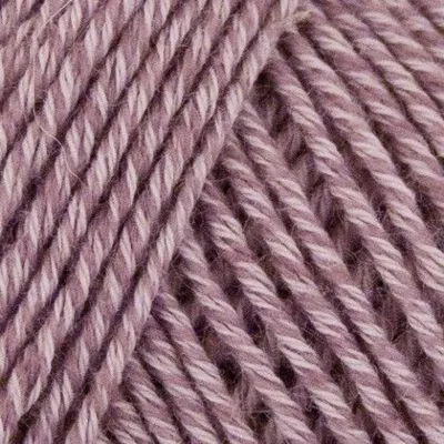 504 Viola chiaro