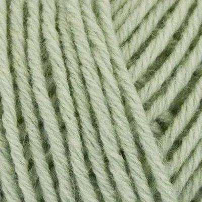 506 Verde chiaro